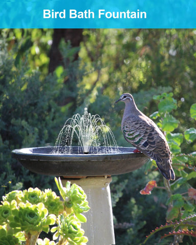 4.5W Solar Fountain Pump for Bird Bath with Auto-Off Protection