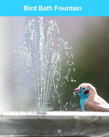 test 6.5W Solar Water Pump for Bird Bath & Small Ponds