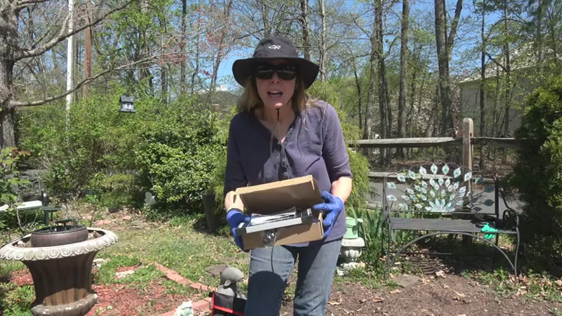 test 6.5W Solar Water Pump for Bird Bath & Small Ponds