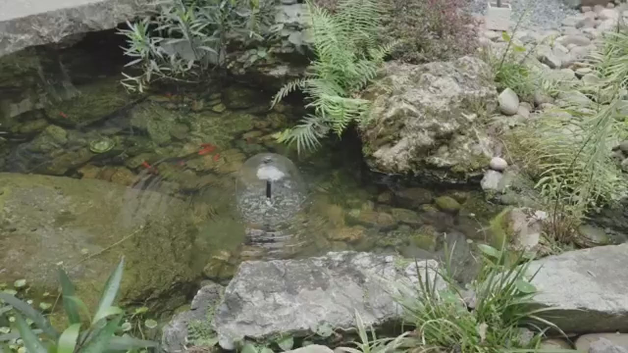 12W Solar Fountain Pump with Filtration & Anti-Dry Protection for Ponds